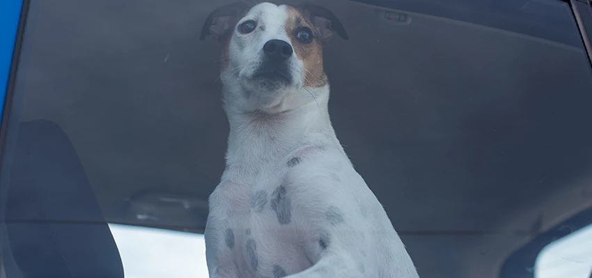 Car Lockout Solutions in Lake Arrowhead, California